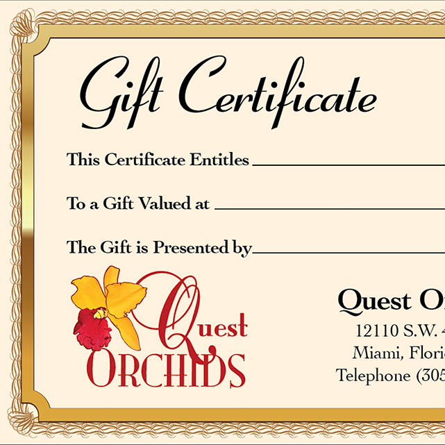 E-Gift Cards